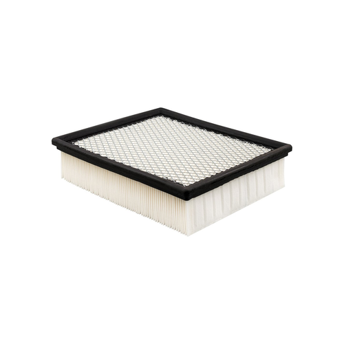 Baldwin PA4102 panel air element Ford Mazda