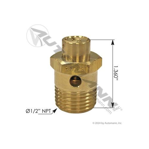 Automann ST4 Type Safety Valve 250 PSI (170131081)