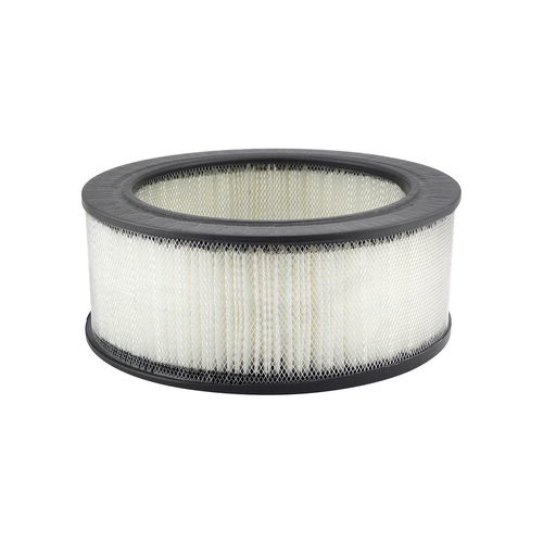 Air Filter (PA602)