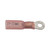 Standard Ignition HP1360 Battery Terminal Clamp