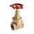 Pipe GV38 Brass Gate Valve | 1½″ BSPT