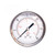 Import Gauge Liquid Filled Pressure Gauge | 98152408