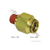 Automann brass PLC male connector 3/8 x 1/8 177.13B686A