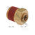Automann Brass PLC Male Connector 1/4" x 3/8" (177.13B684C)
