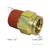 Automann brass PLC male connector 5/8 x 1/2 inch