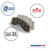 Wagner OEX784 Premium Ceramic Front Disc Brake Pad Set