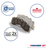 Wagner Brakes QC1041 OEX Disc Brake Pad Set