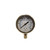 Pressure gauge 2 inch dial 0-100 PSI 1/4 NPT