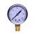 Import Utility Pressure Gauge (99301443) — 2" Dial, 0–30 PSI, Brass, 1/4" NPT