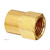 Edelmann 1/4 in Female Inverted Flare Tube Fitting | 126420
