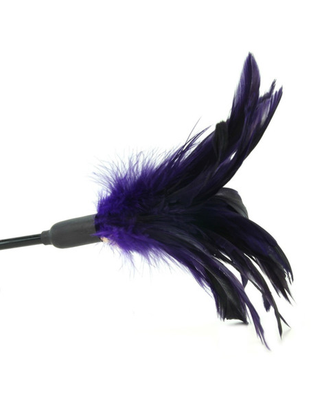 Starburst Feather Violet Tickler