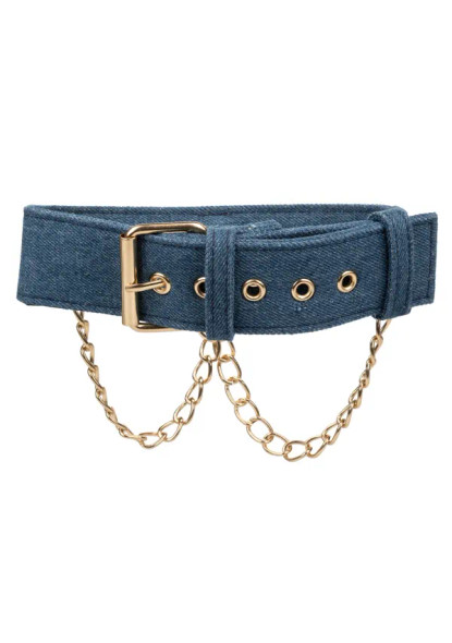 Ride Em Denim Collar w/ Leash