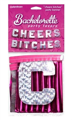 Cheers Bitches Party Banner