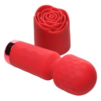 Mini Silicone Rose Wand