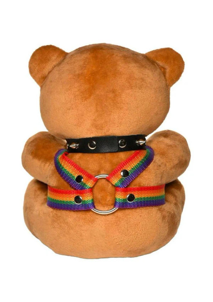 Pride Bear