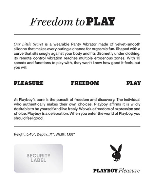 Our Little Secret Panty Vibrator w/ Remote