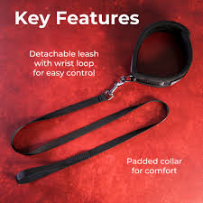 Padded Neck Collar and Leash