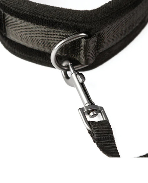Padded Neck Collar and Leash