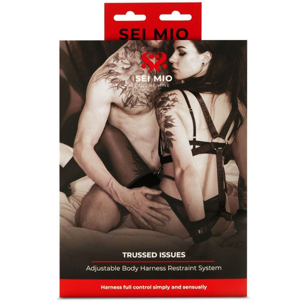 Adjustable Body Harness Restraint System