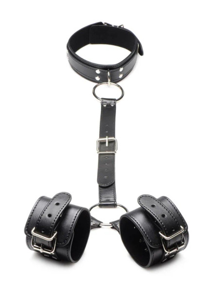 Neck To Wrist Restraints