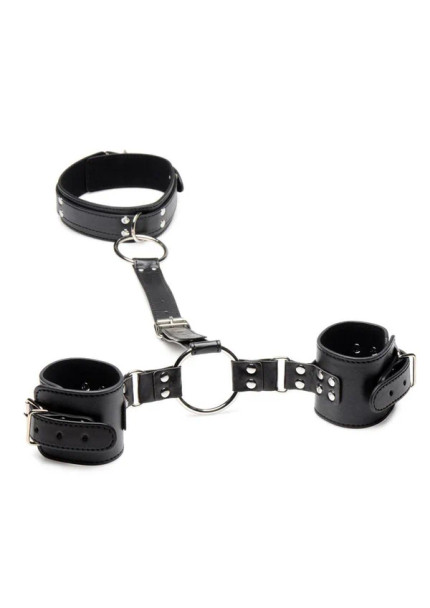 Neck To Wrist Restraints