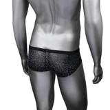 Radiance Classic Briefs