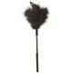 Feather Tickler