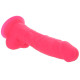 Silicone Dual Density Dildo