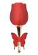 Sucking Rose w/ Butterfly Teaser