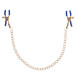 Cougar Chained Nipple Clamps
