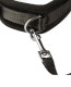 Padded Neck Collar and Leash