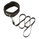 Padded Neck Collar and Leash