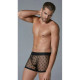 Men's Star Shorts