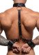 Neck To Wrist Restraints