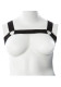 Mason Upper Body Harness