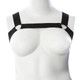 Mason Upper Body Harness