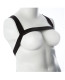 Billie Upper Body Harness