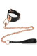 Collar and Leash