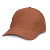 A brown cap with a curved brim and a rounded crown, featuring a logo on the side.