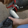 A grey pet bag dispenser with a hand pulling out a black plastic bag, set against a dog on a lead.