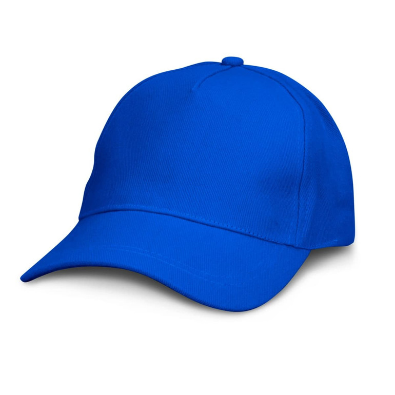 A blue cap with a structured front and curved visor. Features a logo on the front.