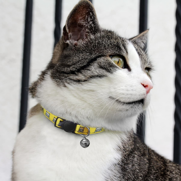 A cat wearing a yellow collar with a design featuring various patterns and a black fastening.