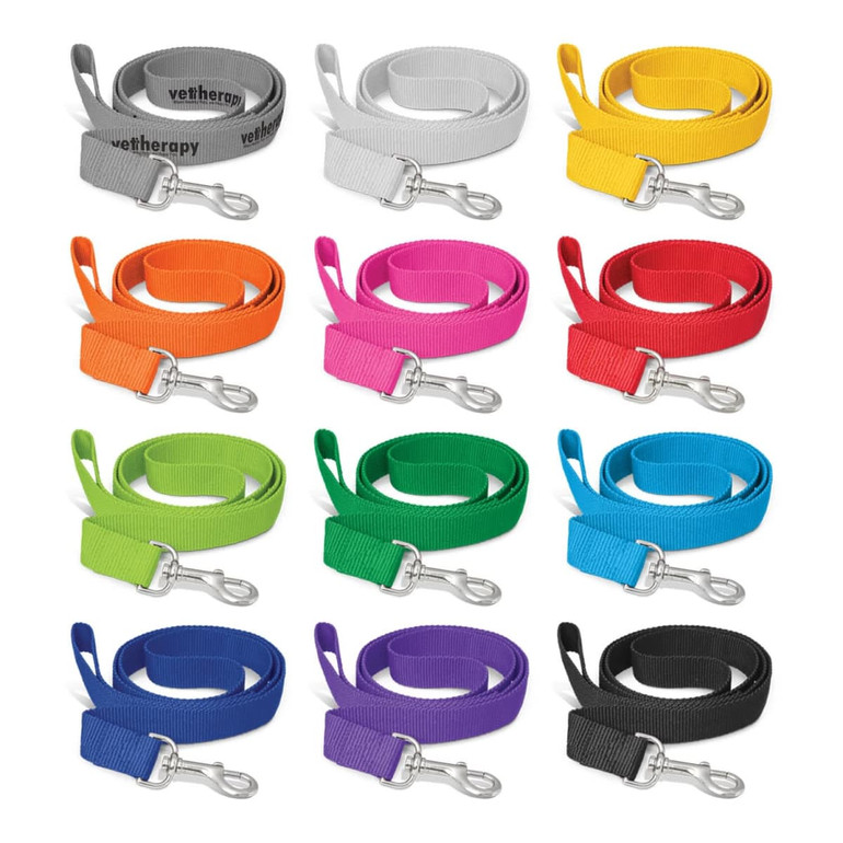 A collection of colourful dog leashes in various shades including grey, yellow, orange, pink, green, blue, purple, and black, each with a clip.