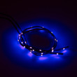 EZ LED 2pk-Black Light 