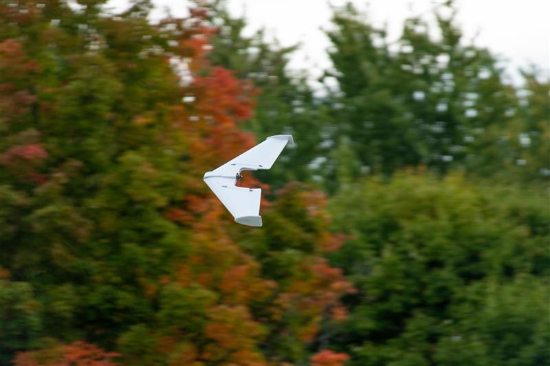 FT Mighty Mini Arrow MKR2 | Smaller RC Planes | Flite Test