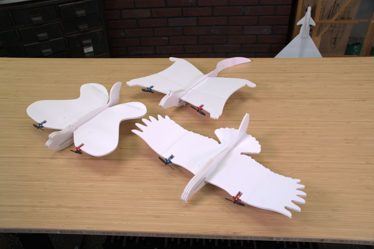 Fly Standard Kit リモコン飛行生物 【公式通販】