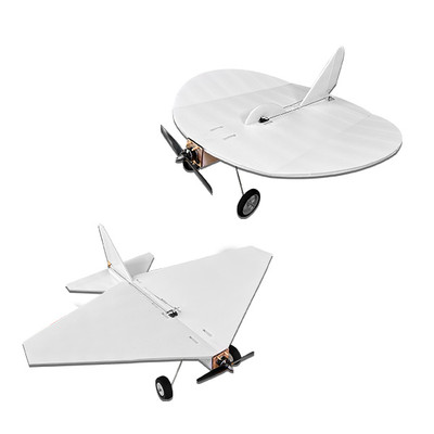 Hangar Rash RC Micro F3P 3D Indoor Park Flyer Electric Model
