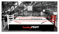 PROFESSIONAL Elevated Boxing Ring PROFESSIONAL Elevated Boxing Ring