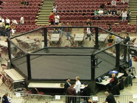 PROGEAR HEXAGON MMA CAGE