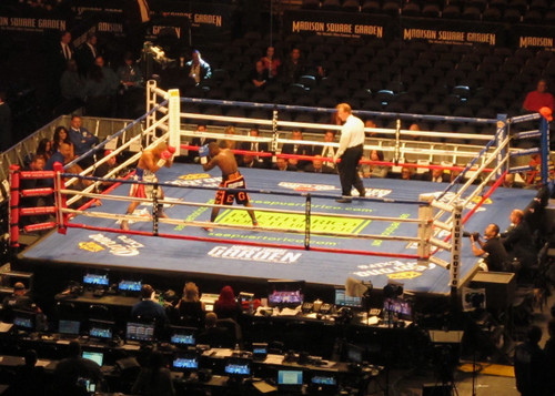 PROFESSIONAL BOXING RING RENTAL